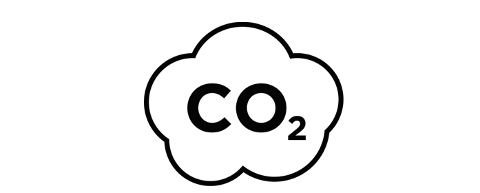 Icon CO2